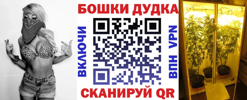 МАРИХУАНА Кировск