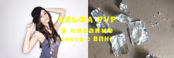 прущие грибы Балабаново