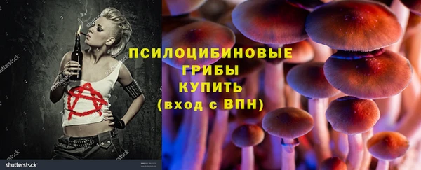 прущие грибы Балабаново