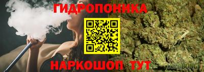 СК Лесосибирск
