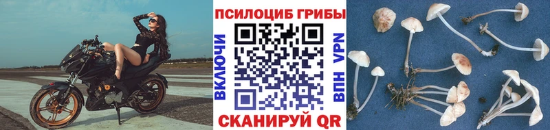Галлюциногенные грибы ЛСД Кировск