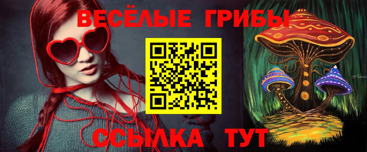 Псилоцибиновые грибы Psilocybine cubensis Кировск