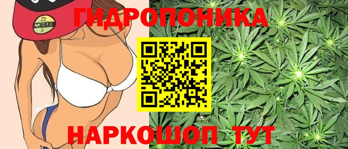 Бошки марихуана MAZAR  Вход с VPN  Марихуана VHQ  Кировск  Шишки марихуана Ganja  Марихуана LSD WEED 
